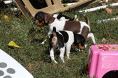 Enlarge photo 22