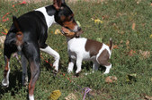 Enlarge photo 21