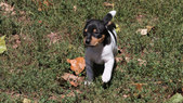 Enlarge photo 19