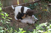 Enlarge photo 14