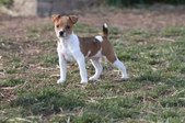Enlarge photo 12
