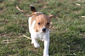Enlarge photo 10