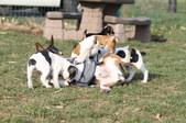 Enlarge photo 9
