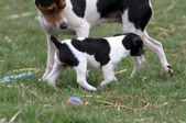 Enlarge photo 22
