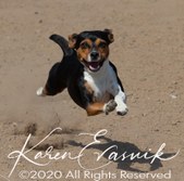 <b>Sookie</b>