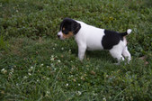 Enlarge photo 13