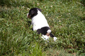 Enlarge photo 15
