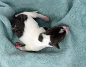Enlarge photo 6