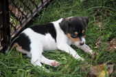Enlarge photo 9