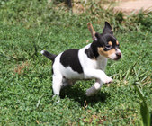 Enlarge photo 7