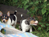 Enlarge photo 7