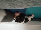 Enlarge photo 21