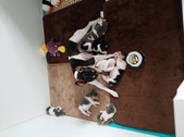 Enlarge photo 22