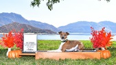 Enlarge photo 2