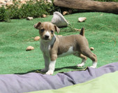 Enlarge photo 23