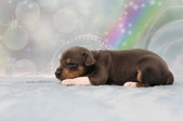 Enlarge photo 24
