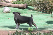 Enlarge photo 15