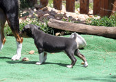 Enlarge photo 16