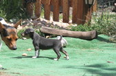 Enlarge photo 14