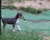 Enlarge photo 4