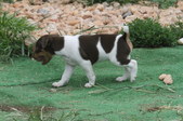 Enlarge photo 21