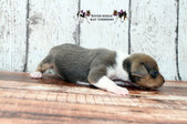 Enlarge photo 22