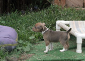 Enlarge photo 13