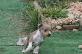 Enlarge photo 8
