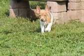 Enlarge photo 6
