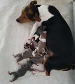 Enlarge photo 13