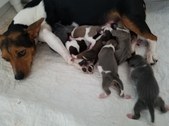 Enlarge photo 15