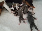 Enlarge photo 14