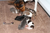 Enlarge photo 8