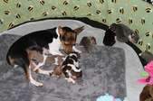 Enlarge photo 5