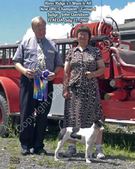 Enlarge photo 13