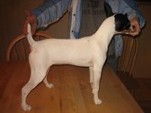 Enlarge photo 18