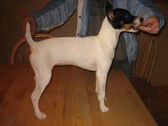Enlarge photo 19