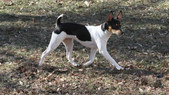 Enlarge photo 23