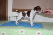 Enlarge photo 6