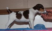 Enlarge photo 8
