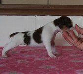 Enlarge photo 15