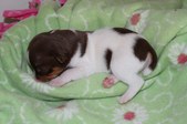 Enlarge photo 18