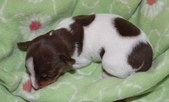 Enlarge photo 19