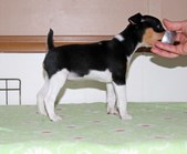 Enlarge photo 10
