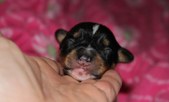 Enlarge photo 21