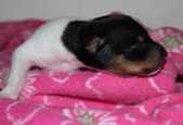 Enlarge photo 22