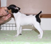 Enlarge photo 6