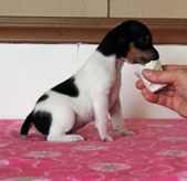 Enlarge photo 17