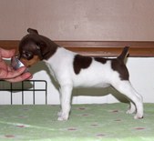 Enlarge photo 17