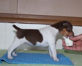 Enlarge photo 24